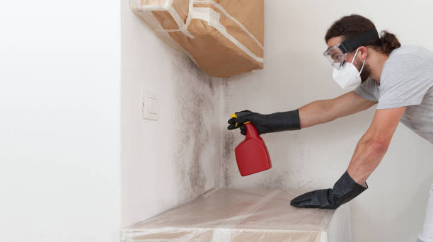 Professional Mold Testing technician working in Hightstown, NJ