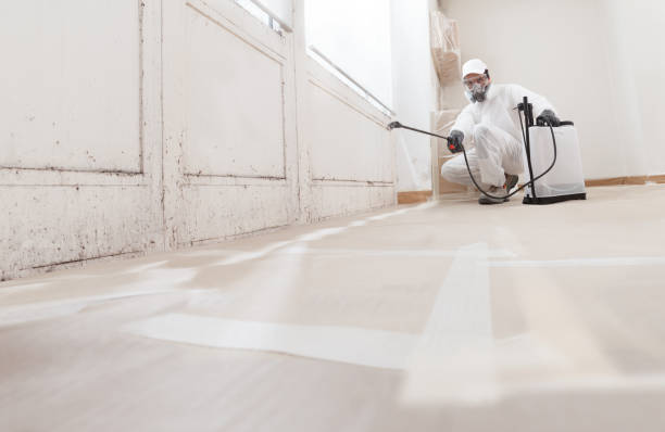 24/7 Emergency Mold Testing experts in Hightstown, NJ