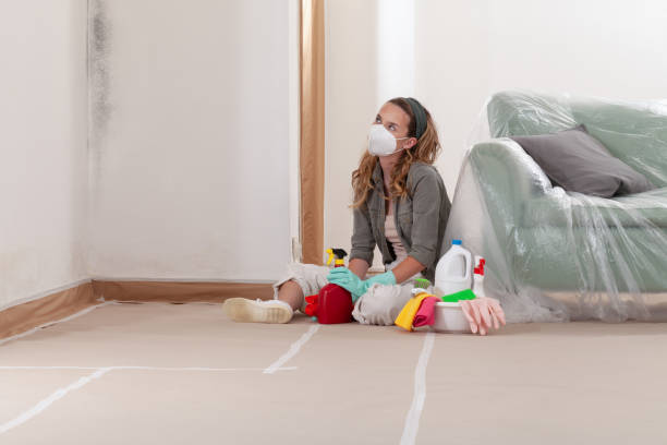 Reliable Mold Remediation contractor in Hightstown, NJ by Cheap Mold Removal